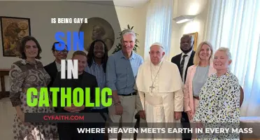 Gay Catholics: Sin or Acceptance?
