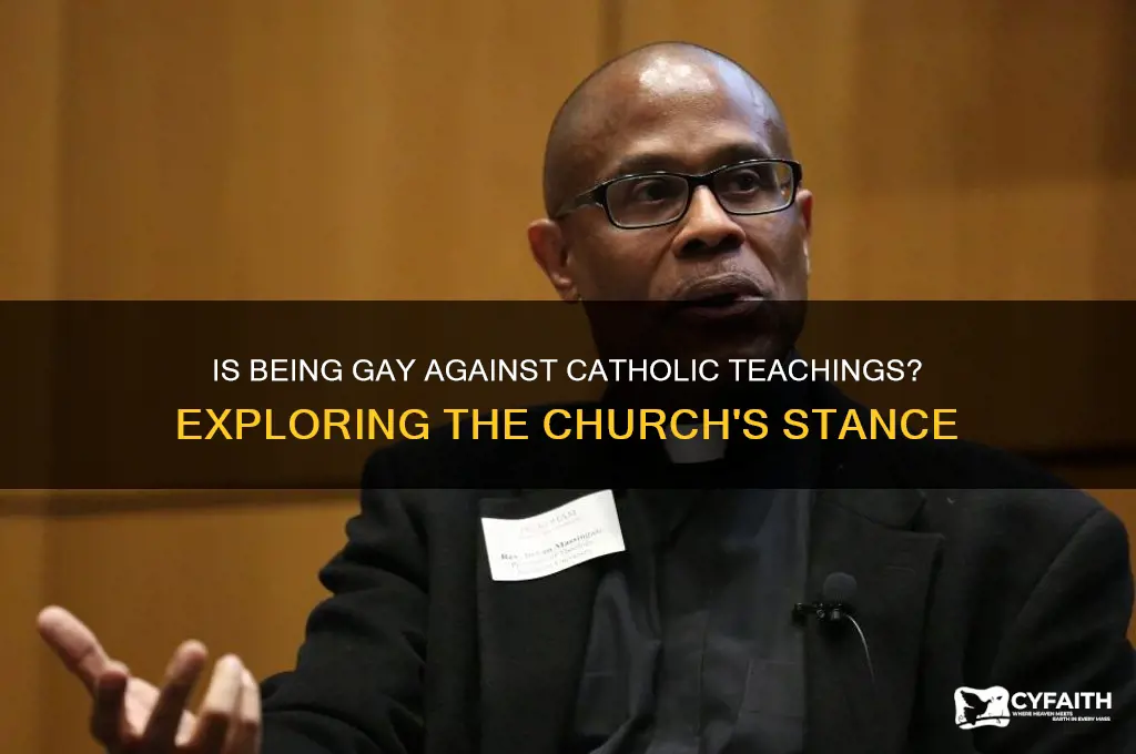 is being gay against catholic