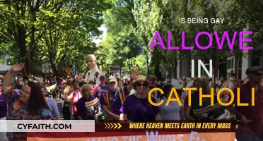 Gay Catholics: Accepted or Rejected?