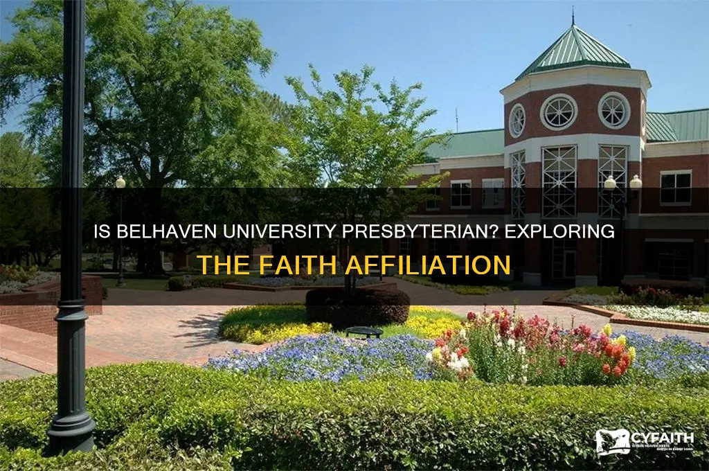 is belhaven university presbyterian