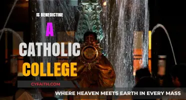 Is Benedictine College Truly Rooted in Catholic Tradition and Values?