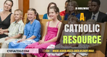 Is BibleWise Catholic? Exploring Its Faith Alignment and Resource Nature