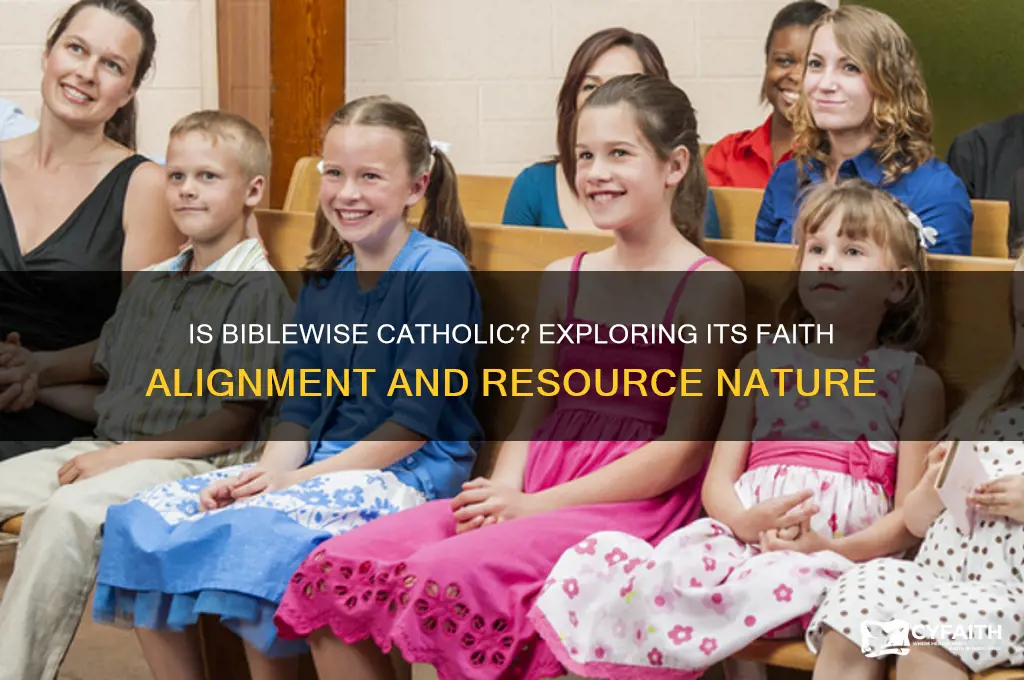 is biblewise a catholic resource