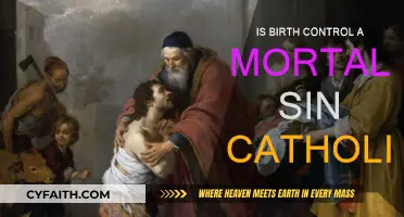 Birth Control and Catholicism: Mortal Sin?