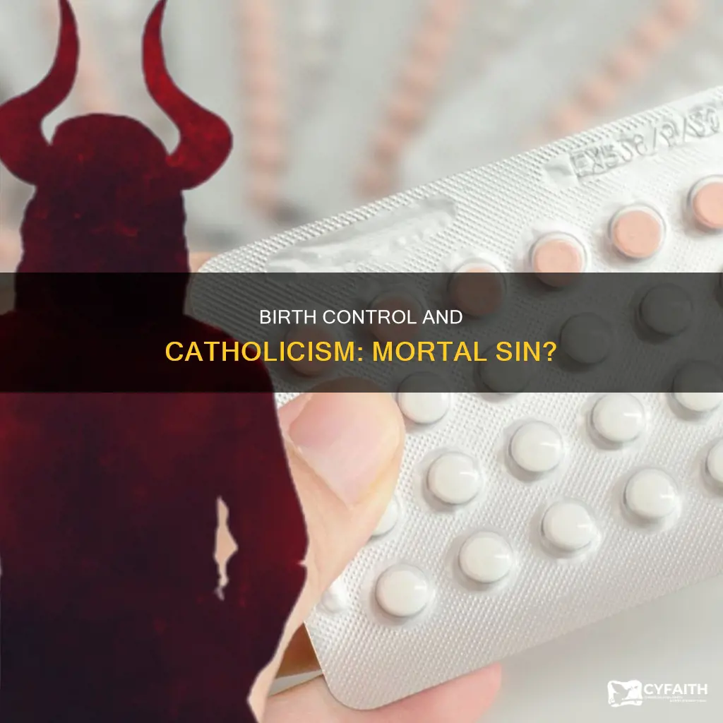 is birth control a mortal sin catholic
