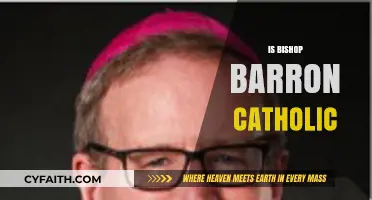 Bishop Robert Barron's Faith: Unraveling His Catholic Identity and Teachings