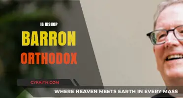 Is Bishop Barron Orthodox? Examining His Teachings and Catholic Faith