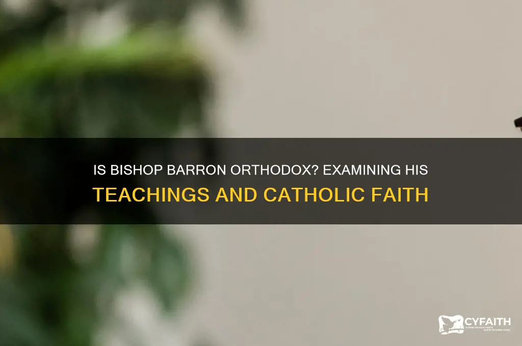 is bishop barron orthodox