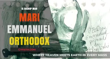 Is Bishop Mar Mari Emmanuel Orthodox? Exploring His Faith and Practices