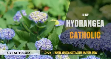 Is Blu Hydrangea Catholic? Exploring the Faith of the Drag Queen