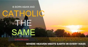 Born Again and Catholic: What's the Difference?