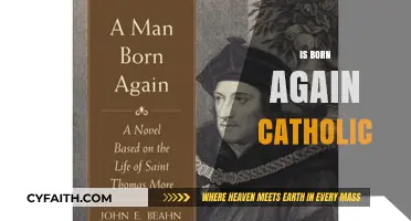 Understanding the Born Again Catholic Identity: Faith, Renewal, and Tradition