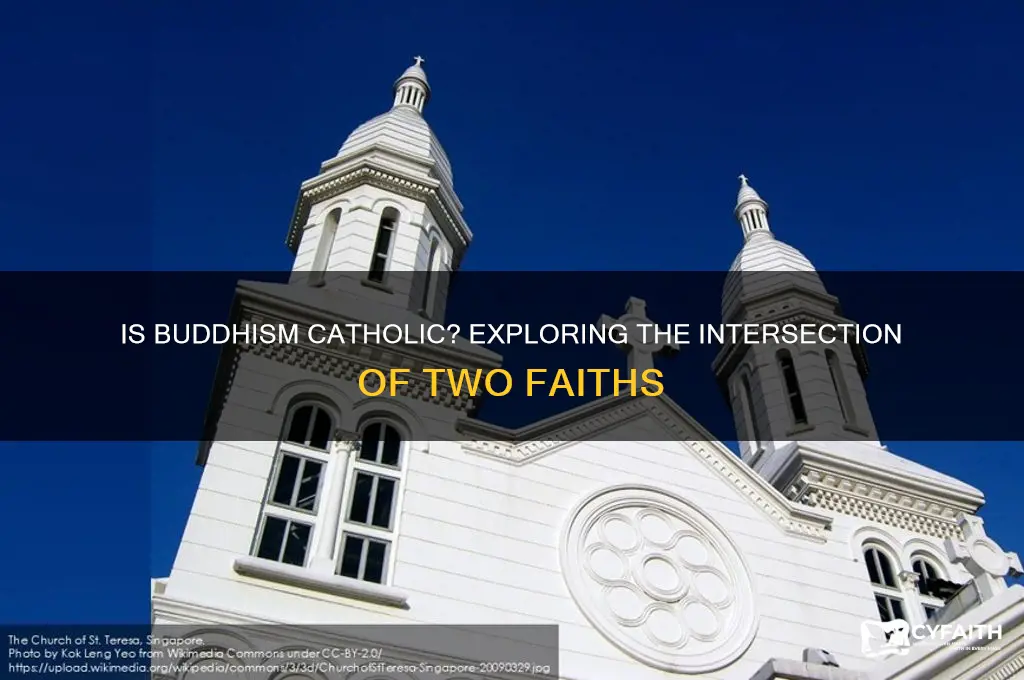 is buddhism catholic