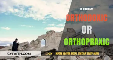 Buddhism: Orthodoxic Beliefs or Orthopraxic Practices – Which Defines It?