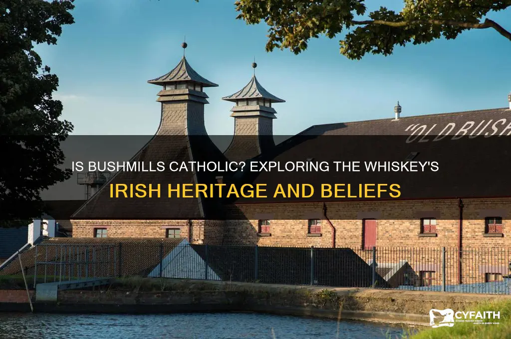 is bushmills catholic