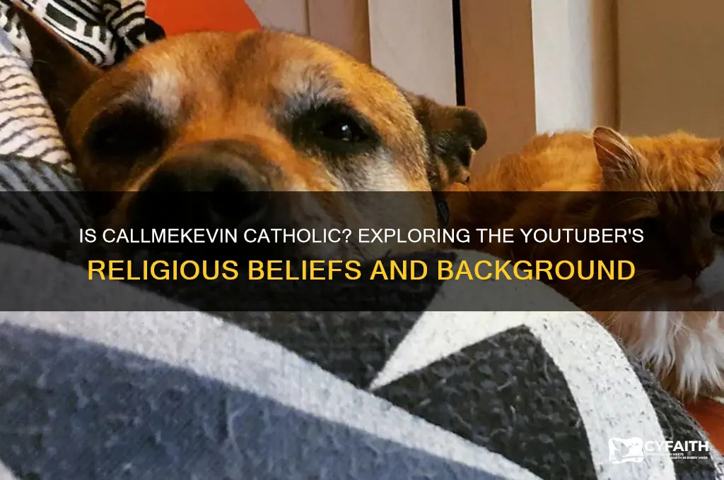 is callmekevin catholic