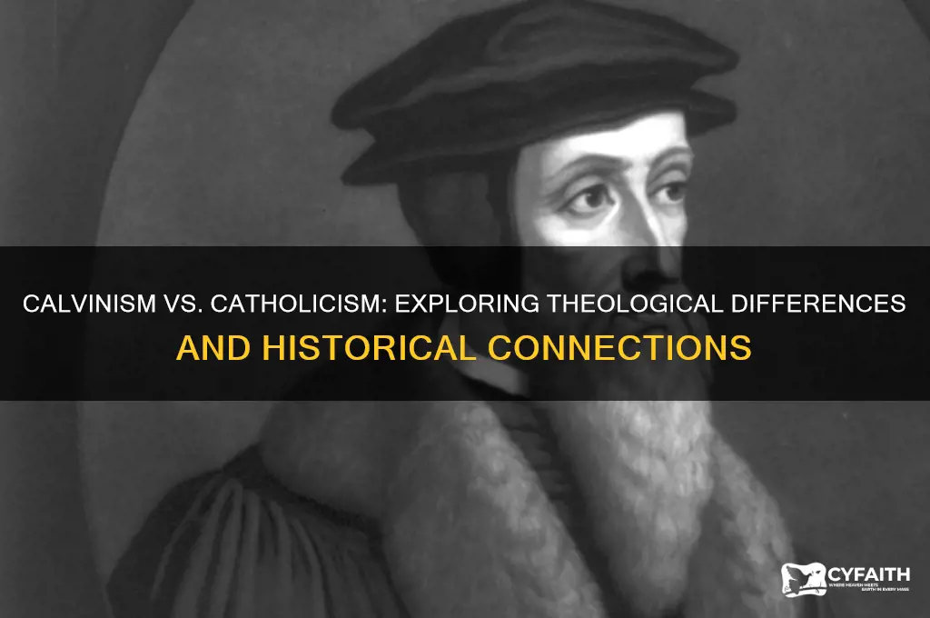 is calvinism catholic