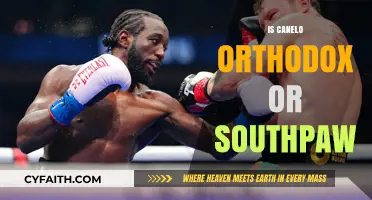 Canelo's Stance: Orthodox or Southpaw? Unraveling the Boxing Mystery