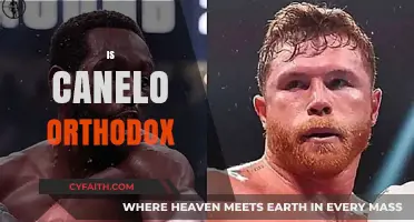 Is Canelo Orthodox? Analyzing His Boxing Stance and Technique