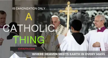 What Is Canonization? Catholic Church's Unique Practice Explained