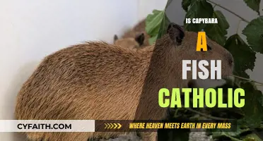 Is the Capybara a Fish? Exploring Catholic Perspectives on Classification