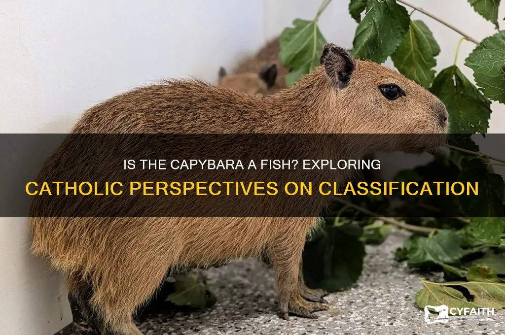 is capybara a fish catholic