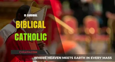 Is the Cardinal's Role Biblically Rooted in Catholic Tradition?
