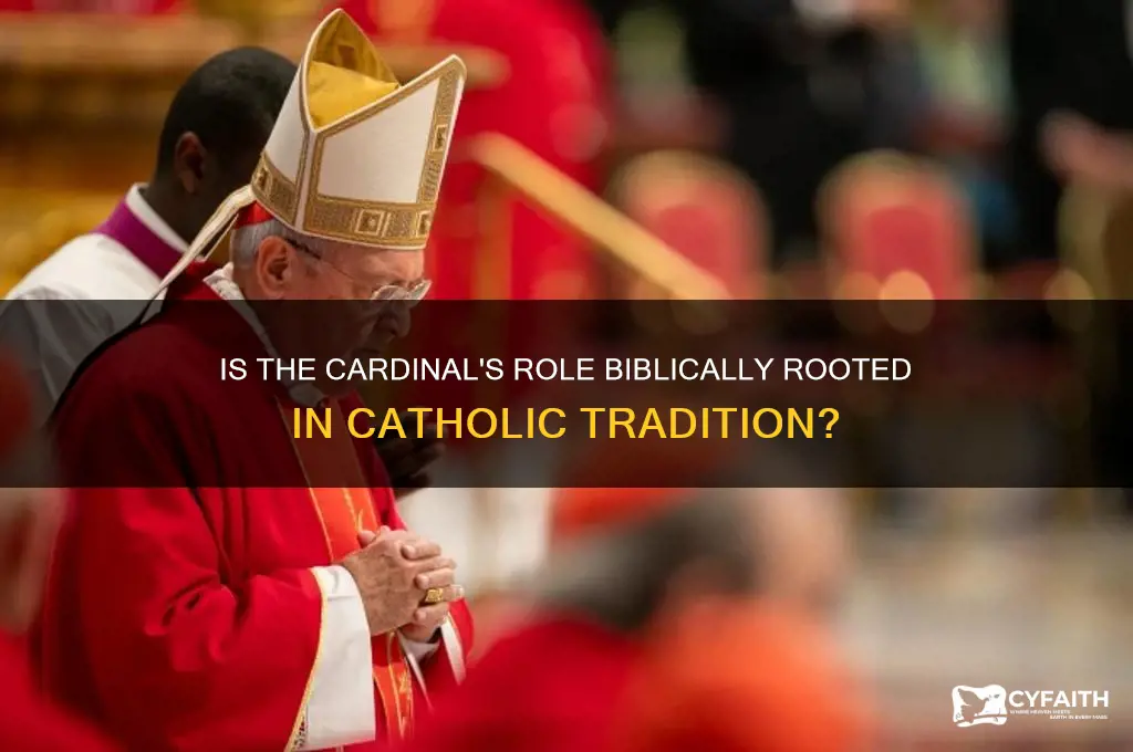 is cardinal biblical catholic