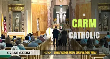 Understanding CARM: Is It Aligned with Catholic Teachings and Beliefs?