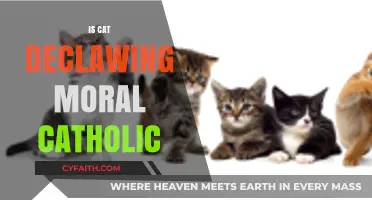 Is Cat Declawing Morally Acceptable in Catholic Ethics?