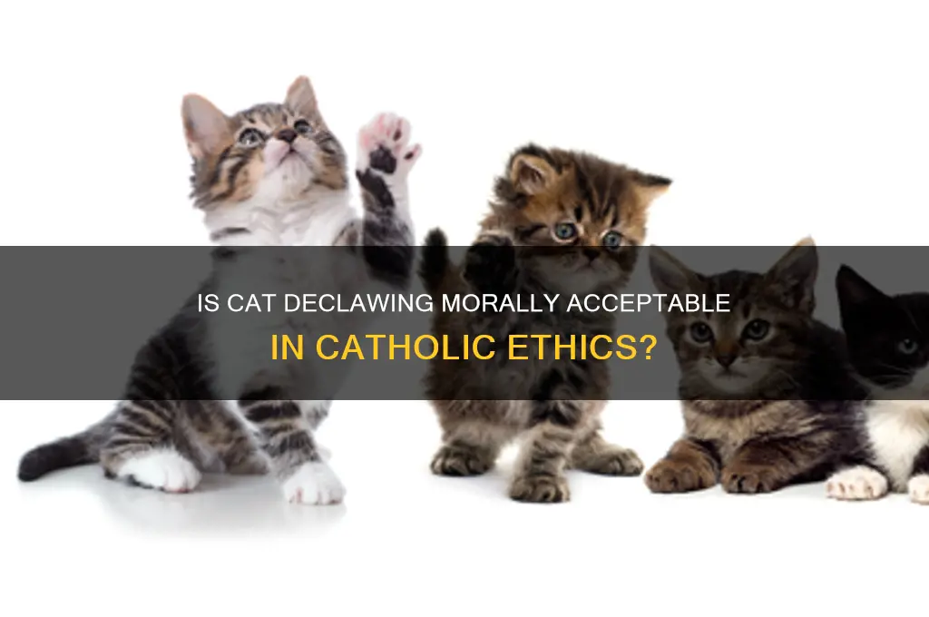 is cat declawing moral catholic