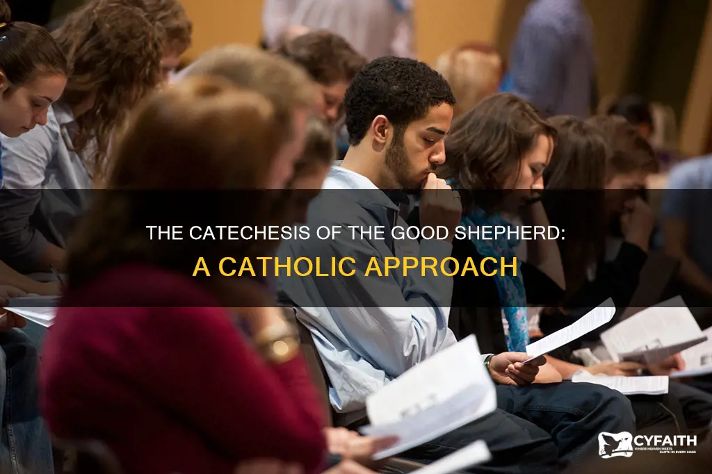 is catechesis of the good shepherd catholic