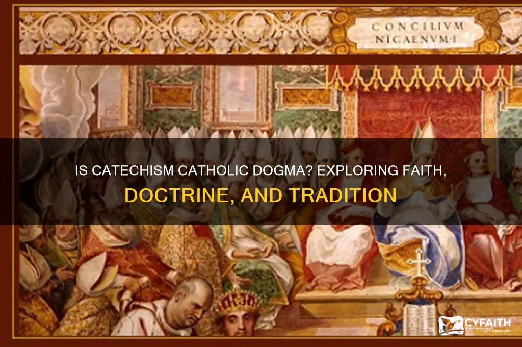 is catechism catholic dogma