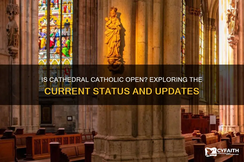 is cathedral catholic open