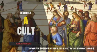 Is Catholicism a Cult? Exploring Beliefs, Practices, and Misconceptions