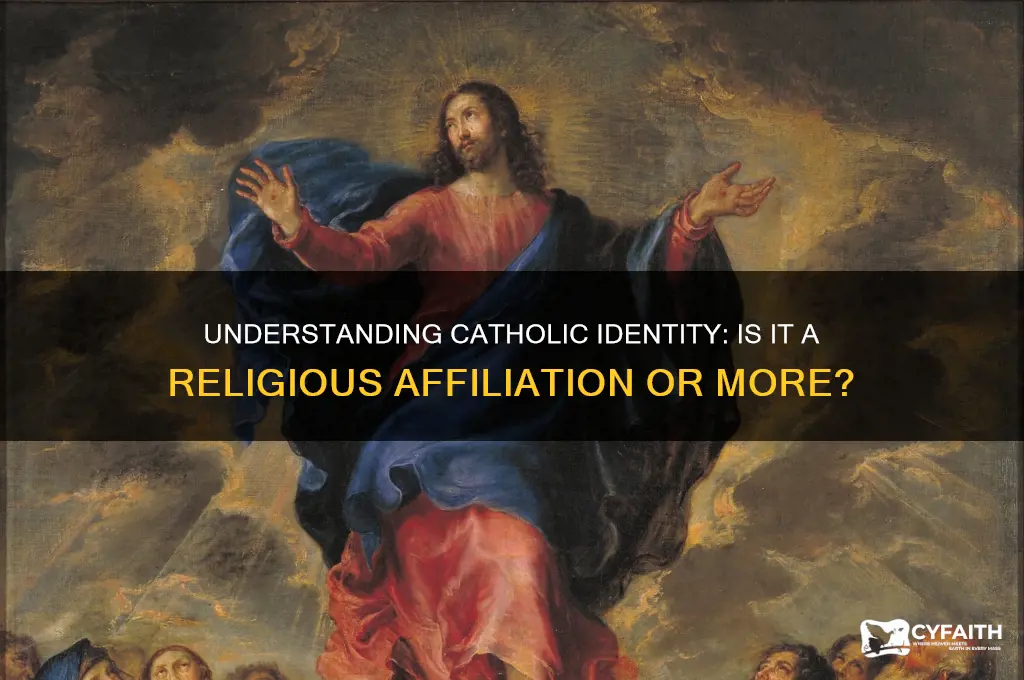 is catholic a religious affiliation