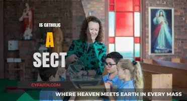 Is Catholicism a Sect? Exploring the Catholic Church's Identity