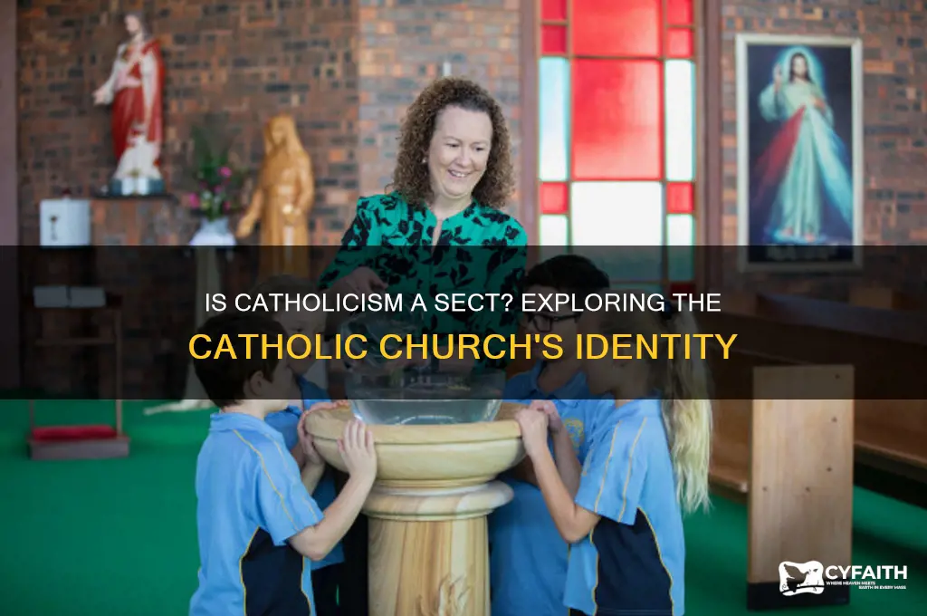 is catholic a sect