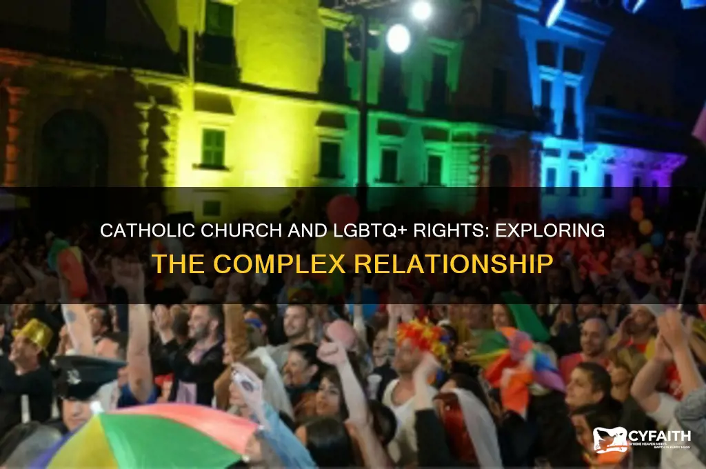 is catholic against lgbt