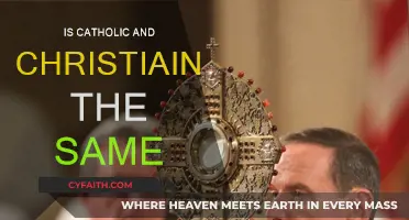 Catholic and Christian: Are They the Same?