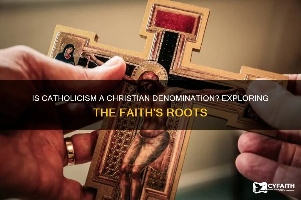 is catholic apart of christianity