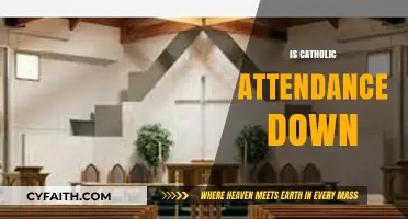 Declining Catholic Church Attendance: Trends, Causes, and Future Implications