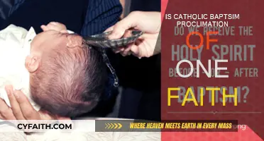 Baptism Proclaims One Catholic Faith