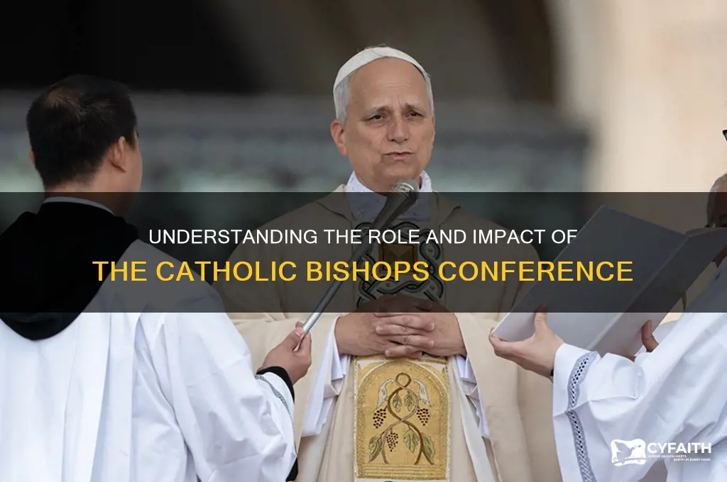 is catholic bishops conference