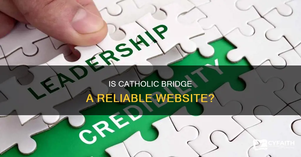 is catholic bridge a good website