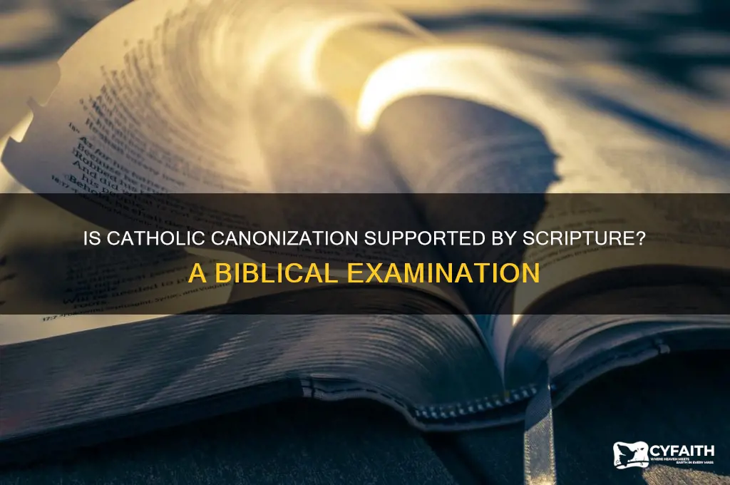 is catholic canonization biblical