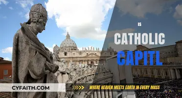 Exploring the Catholic Church's Wealth: Is It Capital or Charity?