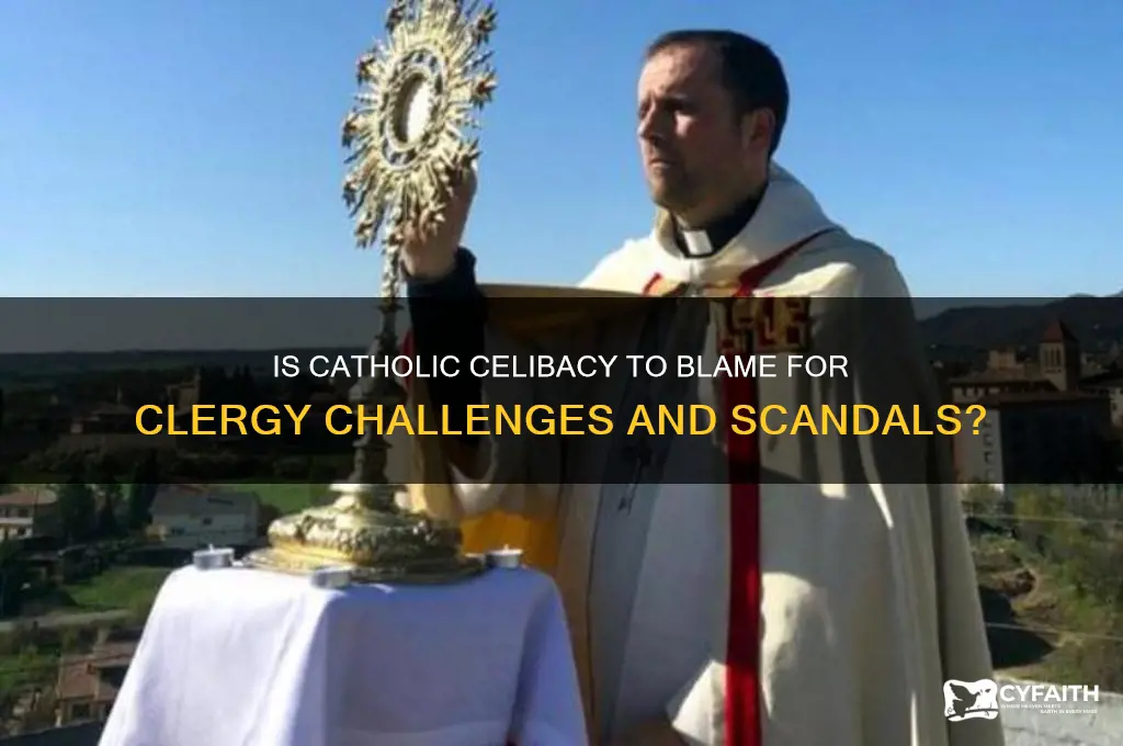 is catholic celibacy to blame