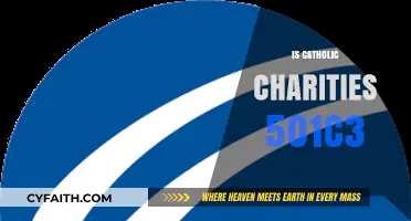 Is Catholic Charities a 501(c)(3) Organization? Facts Explained
