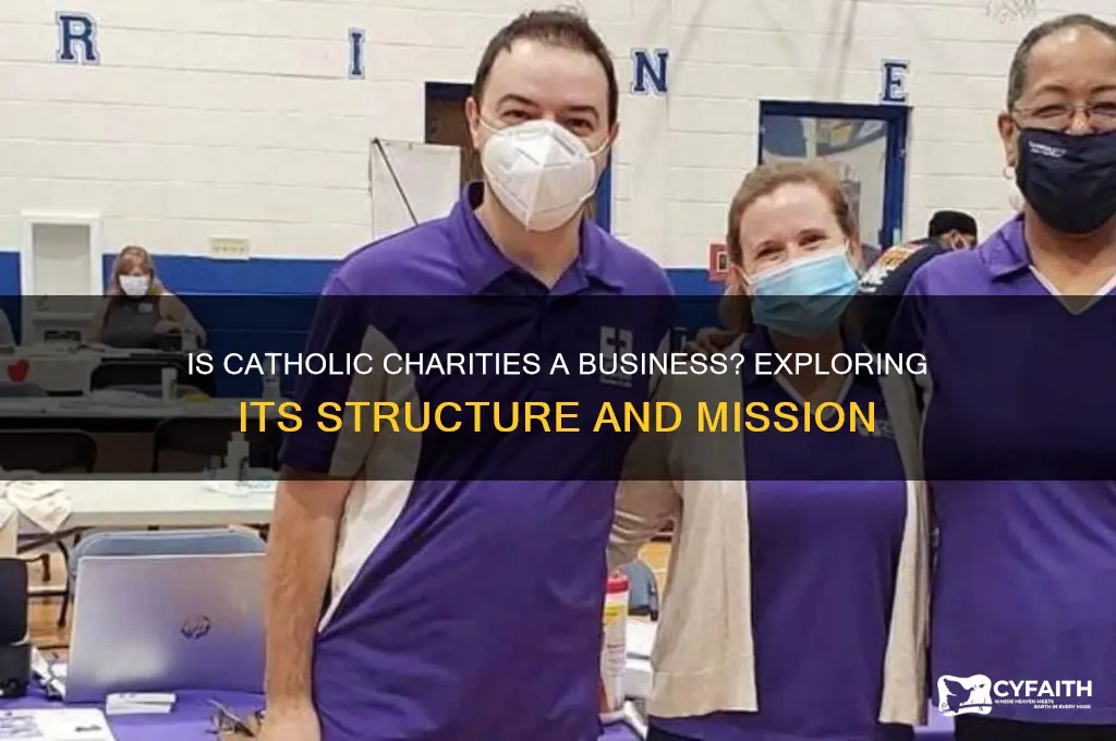 is catholic charities a business